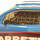 Illustration for article titled An Ode to a Daytona legend ....The IROC Firebirds.